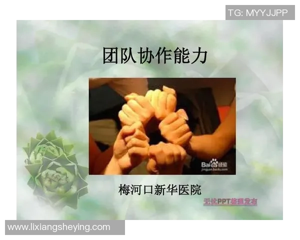 上海乒乓球队大满贯赛事中的团队协作与默契表现分析