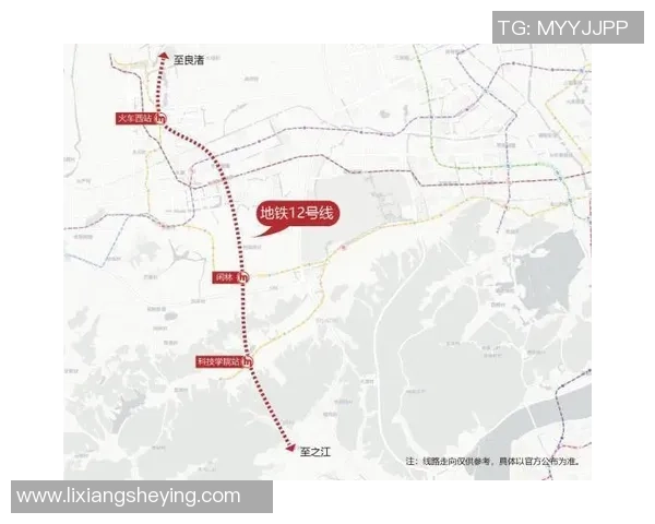 独家分析:杭州篮球队的意识对比