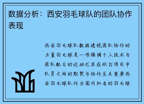 数据分析：西安羽毛球队的团队协作表现