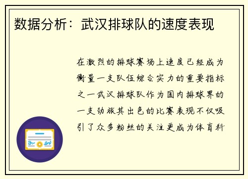 数据分析：武汉排球队的速度表现