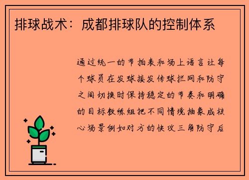 排球战术：成都排球队的控制体系